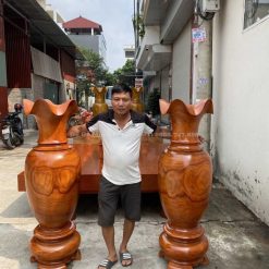 lục bình 1m6